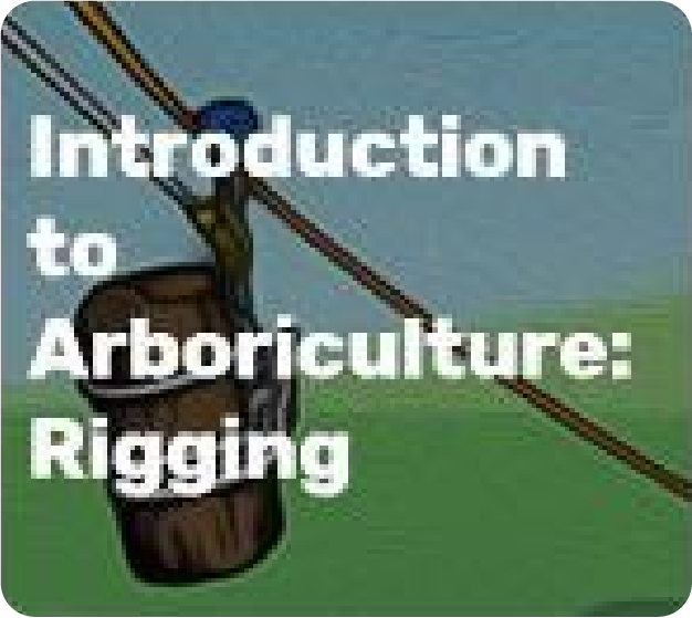 Introduction to Arboriculture - Rigging | ISA Prod