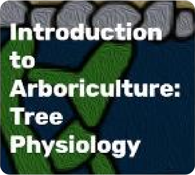 Introduction to Arboriculture - Tree Physiology | ISA Prod
